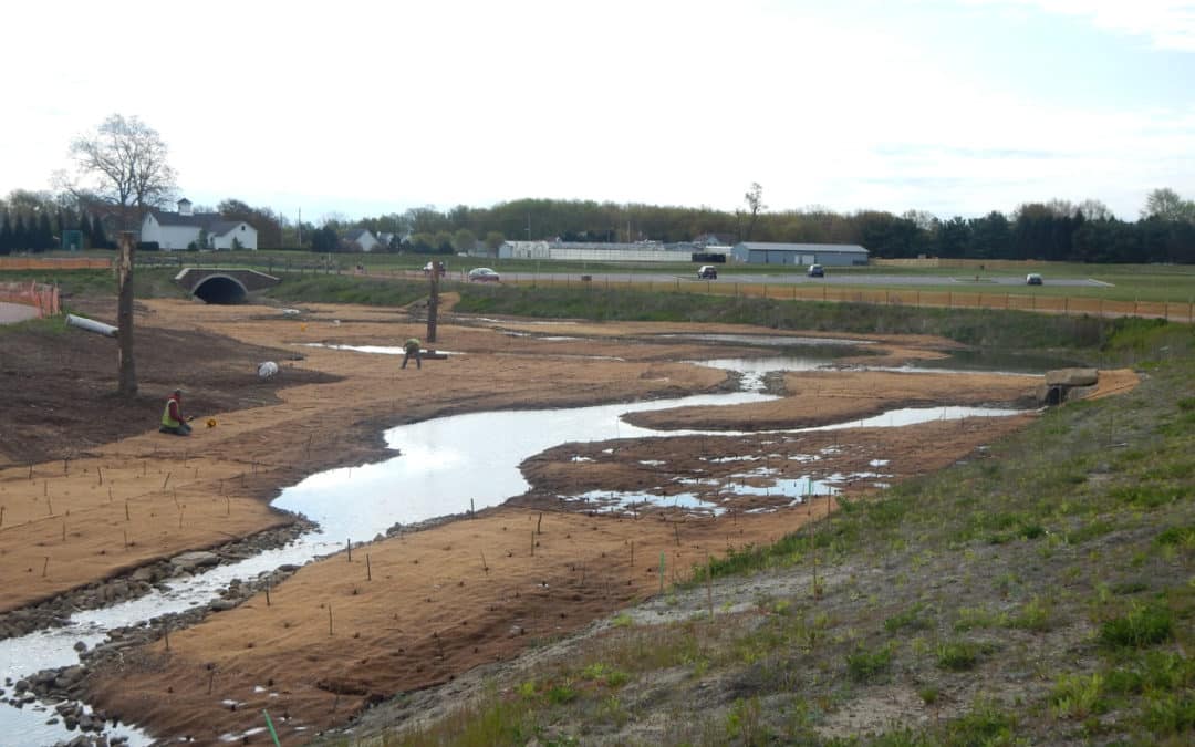 Springbrook Gardens Park Wetland Restoration