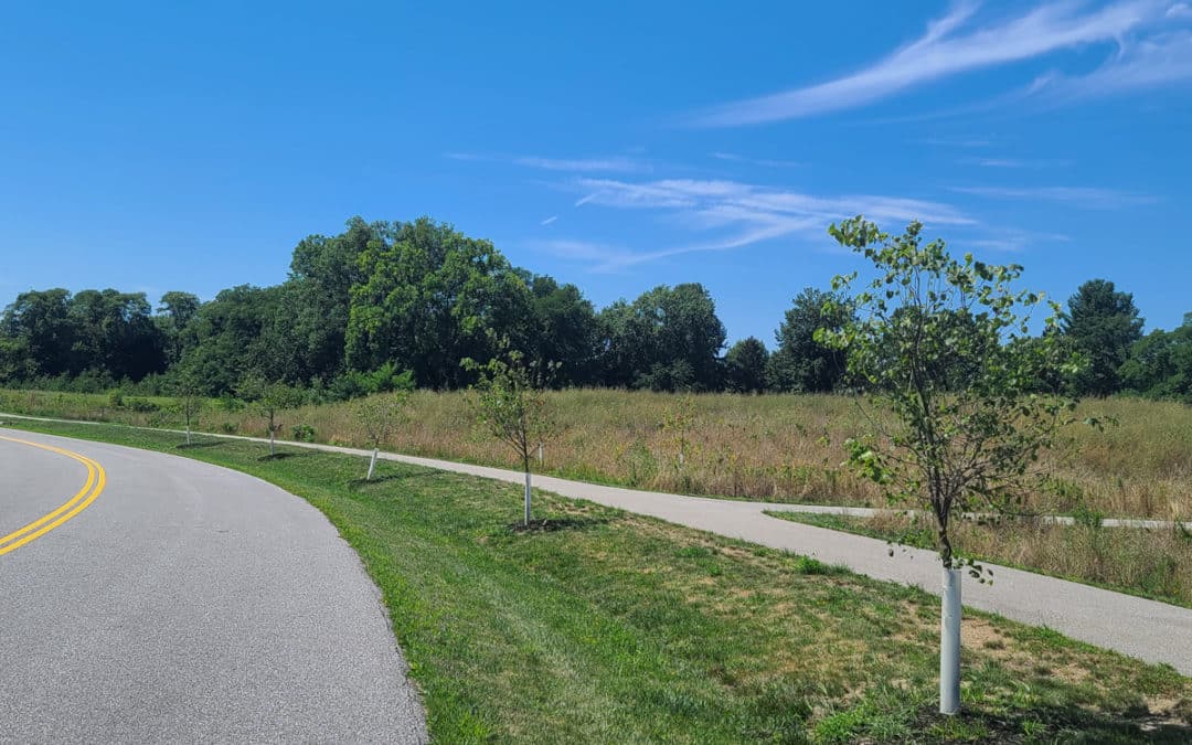 Planting Trees to Reduce Runoff – Central Lake Erie