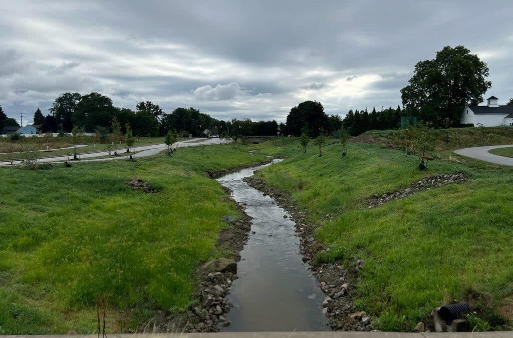 Springbrook Gardens Park Wetland Restoration Phase II