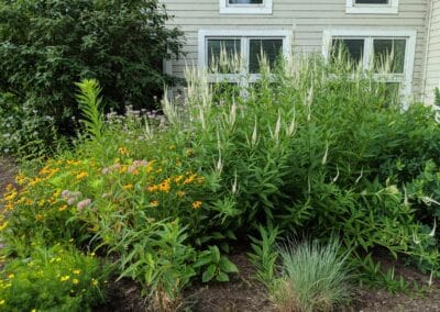 Living with Lake Erie as Your Neighbor: Lawncare & Landscaping for Lake Erie