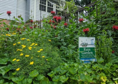 Living with Lake Erie as Your Neighbor: Rain Gardens 101