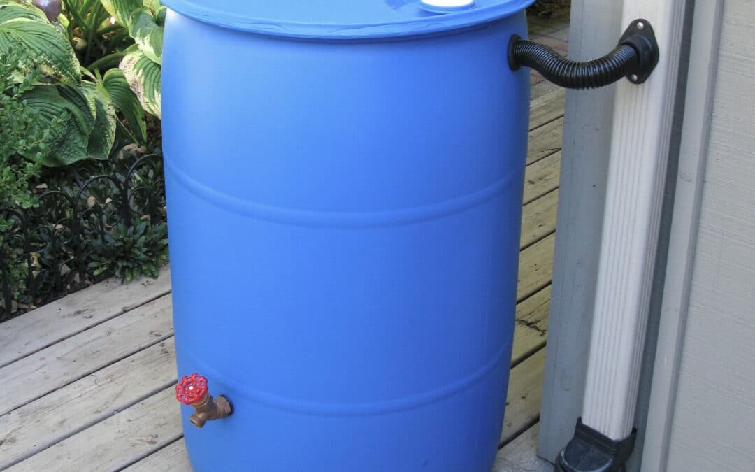 Living with Lake Erie as Your Neighbor: Rain Barrels